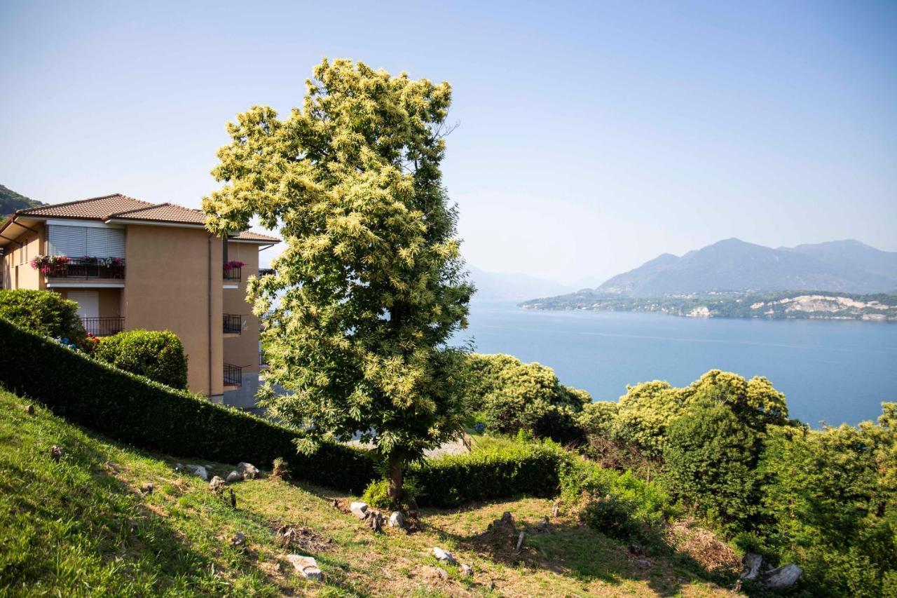 Cloud 9 - Apartment With Stunning Lake View Belgirate Eksteriør bilde