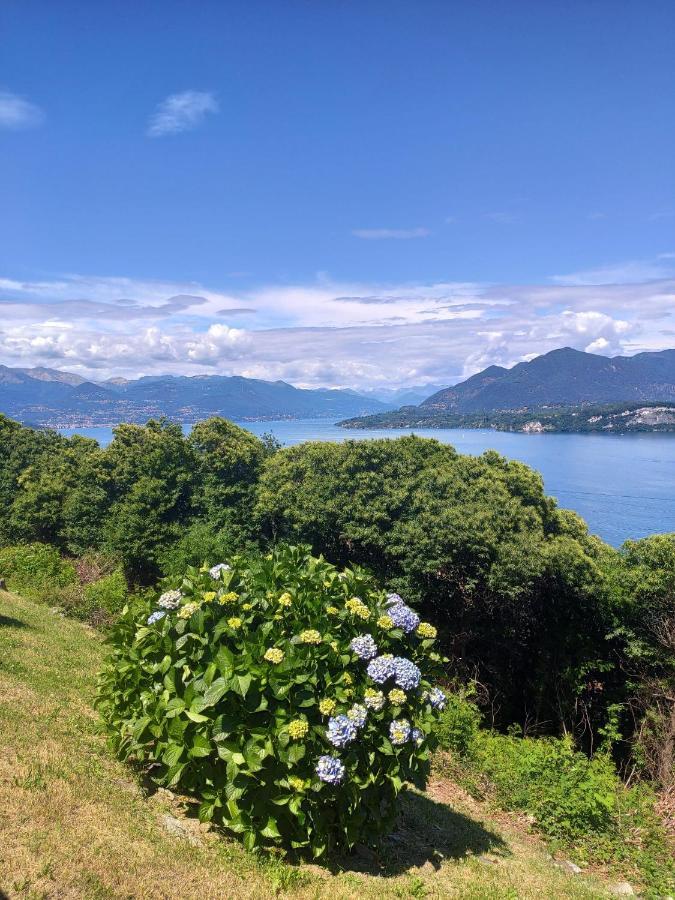 Cloud 9 - Apartment With Stunning Lake View Belgirate Eksteriør bilde